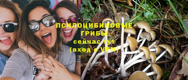 марки lsd Алзамай
