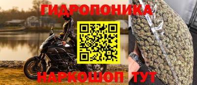 PSILOCYBIN Ирбит