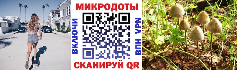Псилоцибиновые грибы Magic Shrooms  Кызыл 