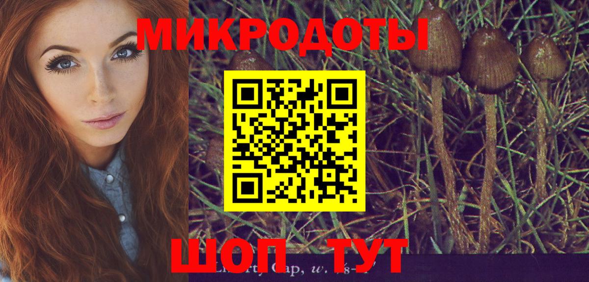 Галлюциногенные грибы мухоморы Кызыл