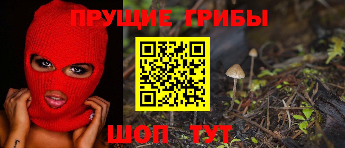 Псилоцибиновые грибы прущие грибы  Вход с VPN  Кызыл 